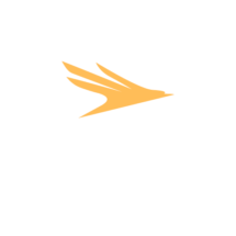 Serafyn Prime Competitive